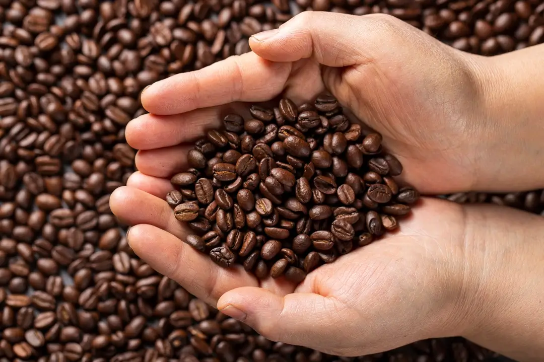flat-lay-hands-holding-coffee-beans