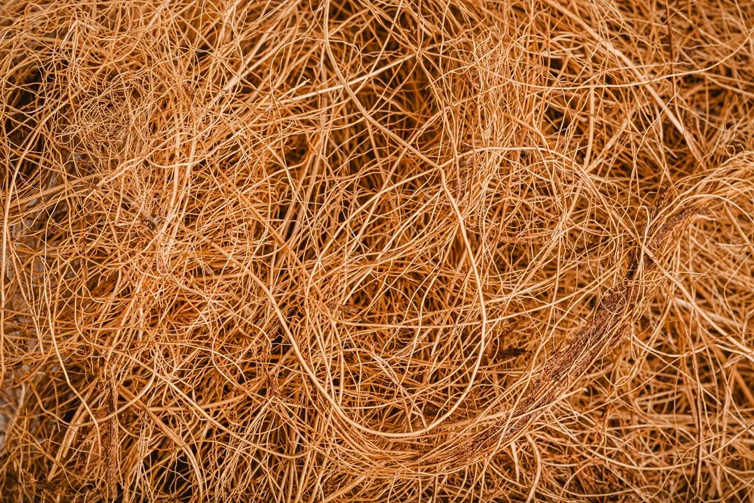 top-view-hay-background