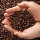 flat-lay-hands-holding-coffee-beans