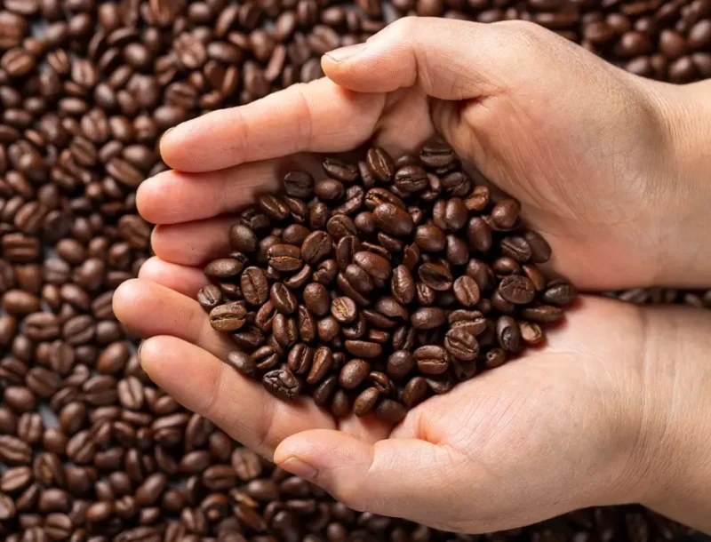 flat-lay-hands-holding-coffee-beans