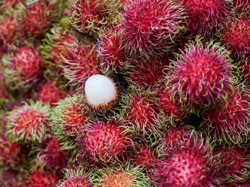 Rambutan